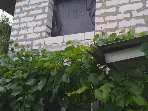 дом по адресу 162-га Садова ул.