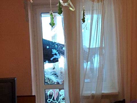 квартира по адресу Олега Куцина ул. (Климента Тімірязєва), 18