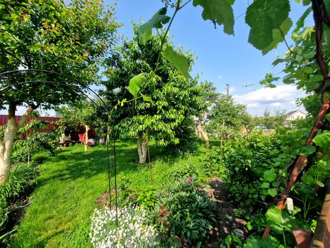 будинок за адресою Лісова