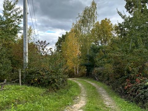 ділянка за адресою Джерельна