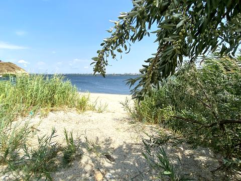 ділянка за адресою Миколаїв, Покровська вул. (Кірова)