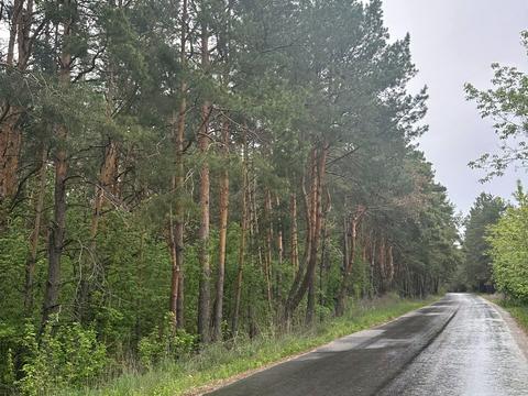 ділянка за адресою с. Перевіз, 
