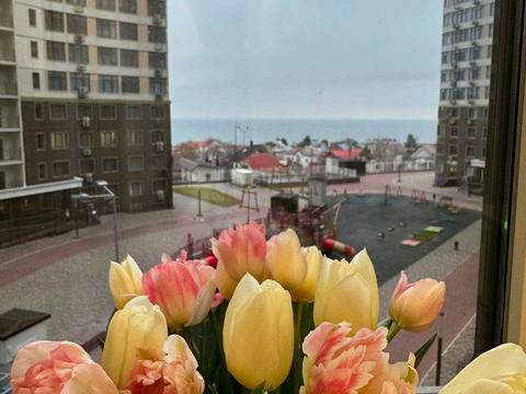 квартира за адресою Валерія Самофалова вул. (Каманіна), 16а/2