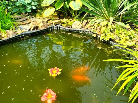 будинок за адресою Сонячна