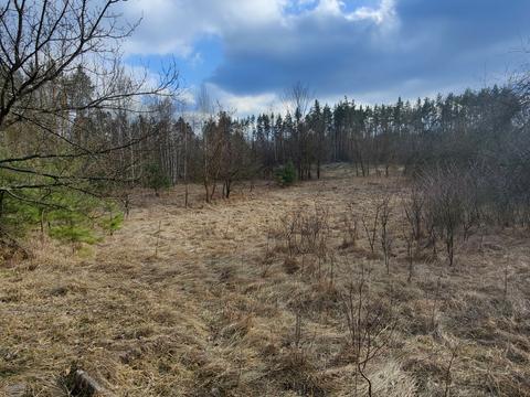 дом по адресу Партизанська, 87