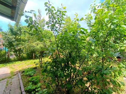 будинок за адресою Львів, Сполучна вул., 10