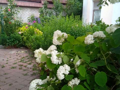 дом по адресу Сурикова 1-ый пер.