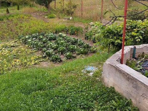 ділянка за адресою Кленова вул., 76
