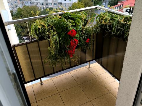 квартира по адресу Панаса Мирного ул., 37/3