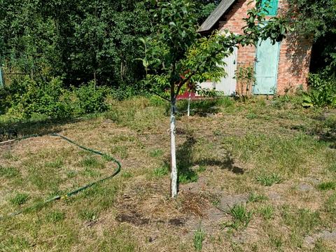 дом по адресу Лісова, 20