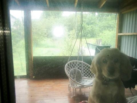 будинок за адресою Провулок 6 Заярний, 20