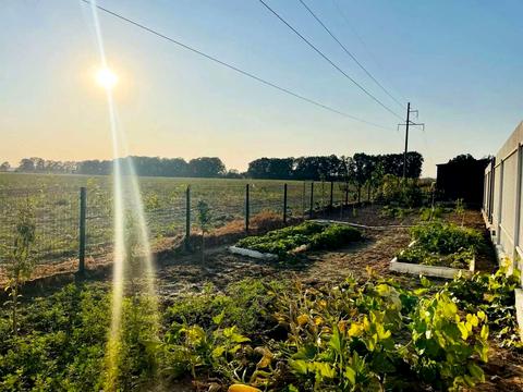 дом по адресу Балукова ул.