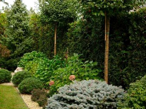 будинок за адресою Шевченка вул