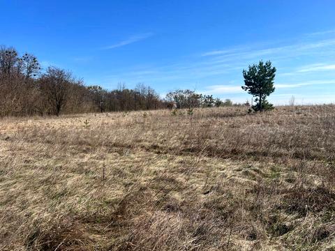 участок по адресу Василькова