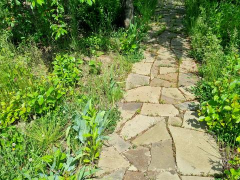 будинок за адресою смт. Високий, Захисників України