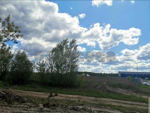 ділянка за адресою смт. Ворзель, 