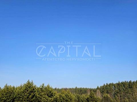 ділянка за адресою с. Осикове, 