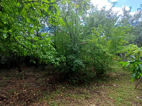 будинок за адресою Харків, Естонська вул. (Петрозаводська), 18