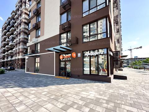 коммерческая по адресу Олександра Олеся ул., 4