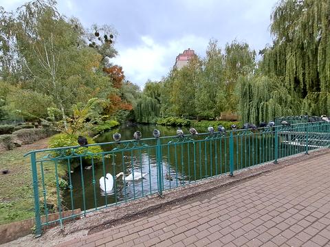 квартира за адресою Вишгородська вул., 45г