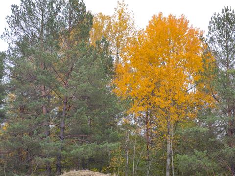 участок по адресу Промислова
