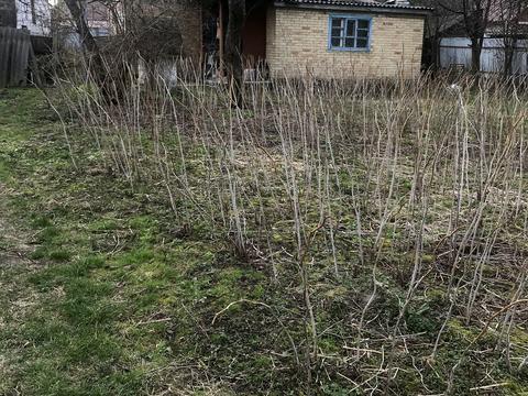 будинок за адресою Свято-Покровська вул. (Леніна)