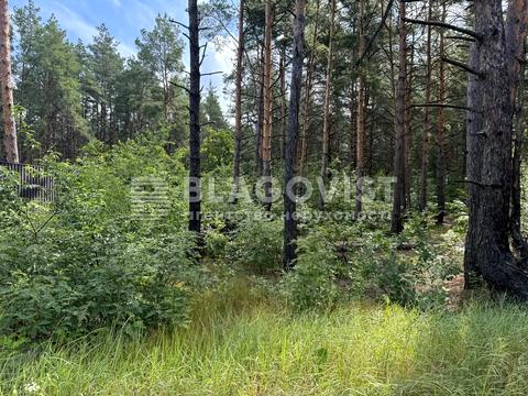 ділянка за адресою Броварський просп.