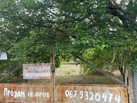 ділянка за адресою с. Новоселівка, Центральна, 52