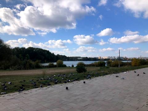 ділянка за адресою Нижня Берегова вул.