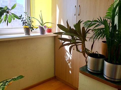 квартира по адресу Северная ул. (Північна), 54-Б