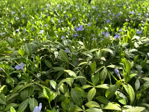 будинок за адресою Аврори, 10