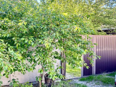 дом по адресу Армянский пер., 27