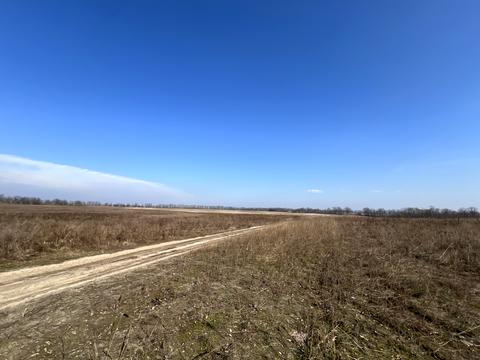 участок по адресу Леонтовича ул.