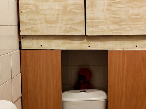 квартира по адресу Червоной Калины просп. (Владимира Маяковского), 12