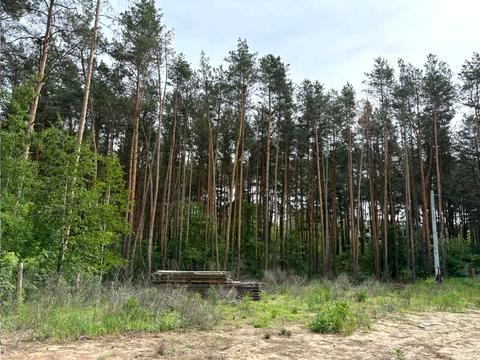 ділянка за адресою Радистів пров., 11А