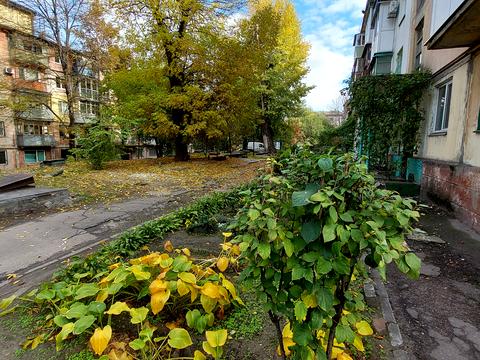 квартира за адресою Вільна вул., 3