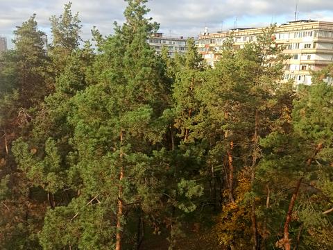 квартира за адресою Днепровский , 22