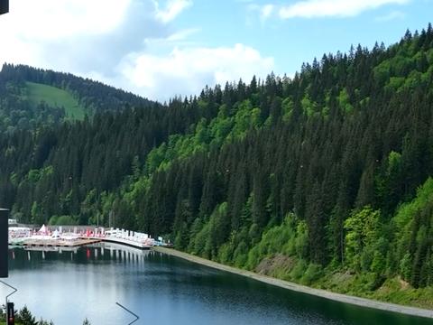 квартира за адресою Поляниця, 2