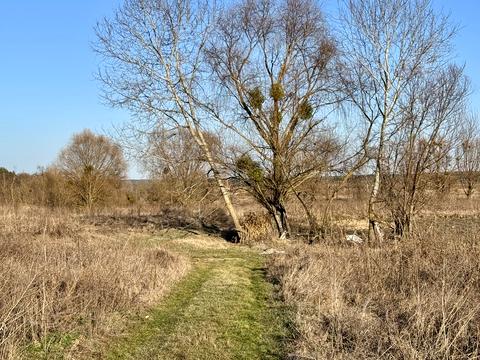 участок по адресу Городня