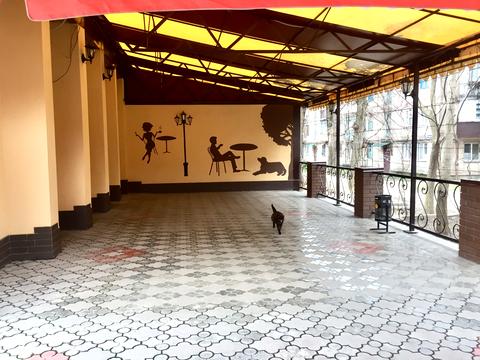 комерційна за адресою Дениса Комара вул. (Стрєльникова), 29