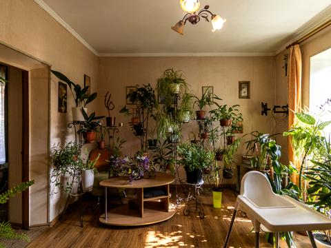 квартира за адресою Марійки Підгірянки вул., 25