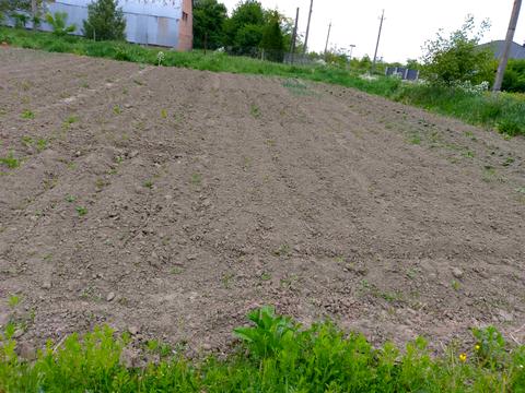 ділянка за адресою Підпечарська