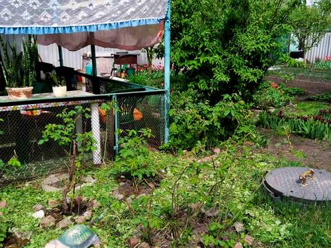 дом по адресу Трансформаторная ул., 9