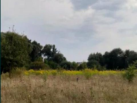 участок по адресу Струмковий провулок, 10