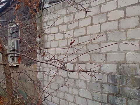 дом по адресу Большая Даниловская ул., 9