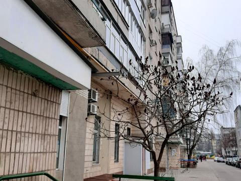 квартира по адресу вул. Харківська , 32