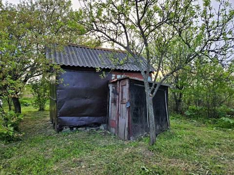 ділянка за адресою Довбуша