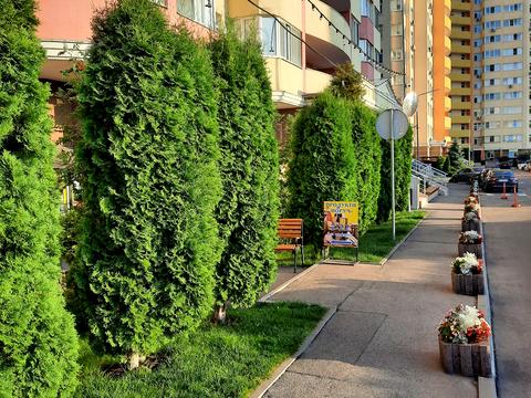 квартира за адресою Петра Калнишевського вул. (Михайла Майорова), 8