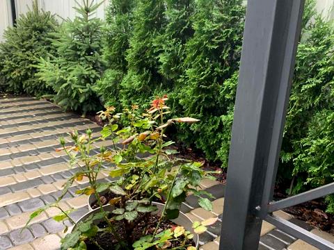 будинок за адресою Кленова вул.