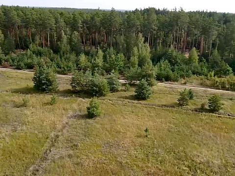 участок по адресу с. Сувид, 